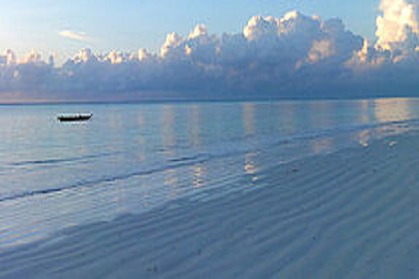 Habibi World Travel Tanzania Safari and Zanzibar