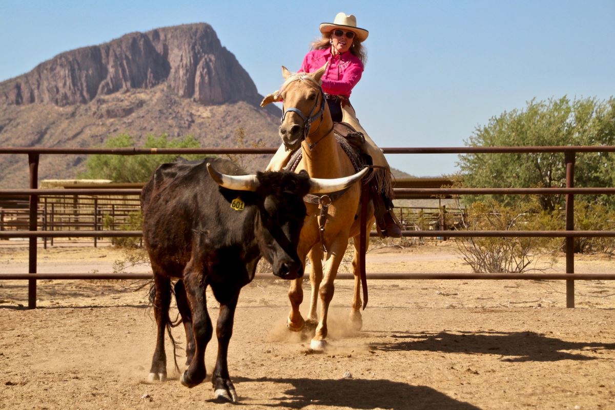 Habibi World Travel and Tour White Stallion Ranch