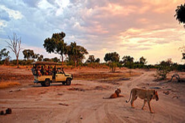 Habibi World Travel Three country safari