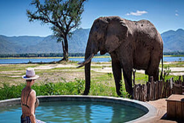 Habibi World Travel Zimbabwe-Safari