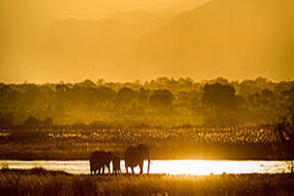 Zimbabwe-Safari Habibi World Travel