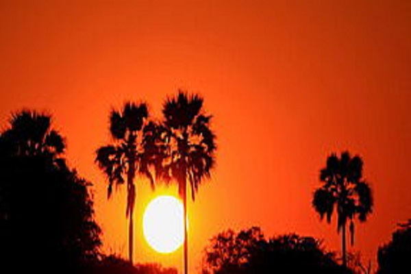 Habibi World Travel Botswana Deluxe Safari