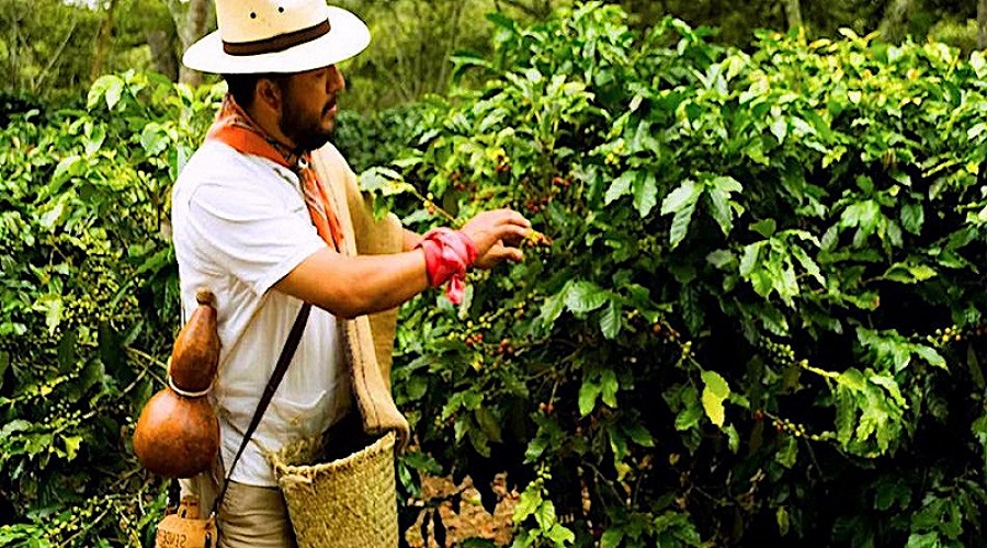 Habibi World Travel - Magic Travel Mágico Coatepec