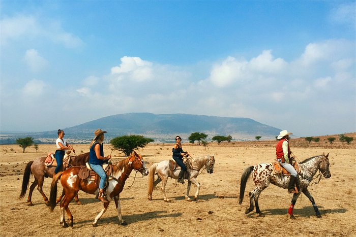 Habibi World Travel and Tour Ranch in the Heart Of Mexico 