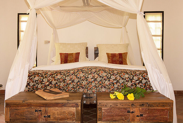  Africa Safari 1- Habibi World Travel & Tour Africa