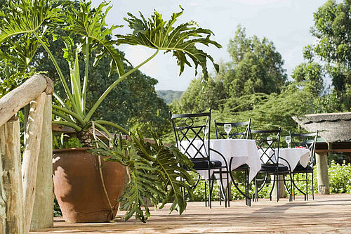  2 Africa Safari - Habibi World Travel & Tour Africa