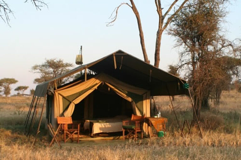  Africa Safari 7492- Habibi World Travel & Tour Africa