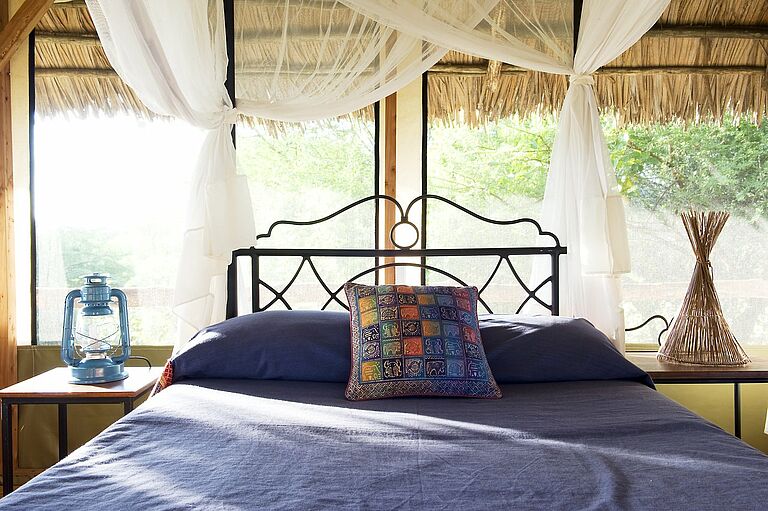  Africa Safari 52- Habibi World Travel & Tour Africa