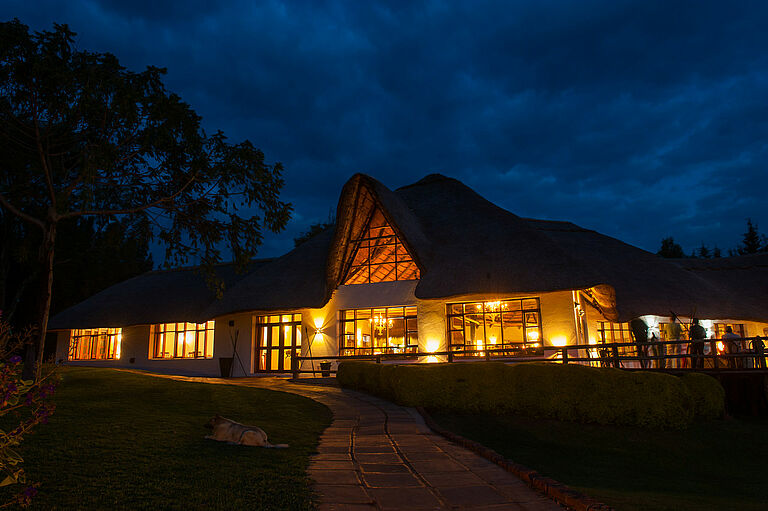  Africa Safari 17922- Habibi World Travel & Tour Africa