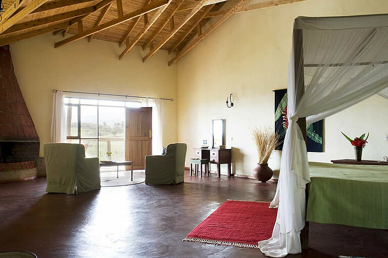  Africa Safari 60592- Habibi World Travel & Tour Africa