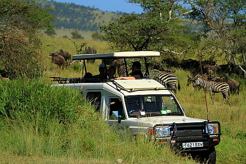  Africa Safari 65992- Habibi World Travel & Tour Africa