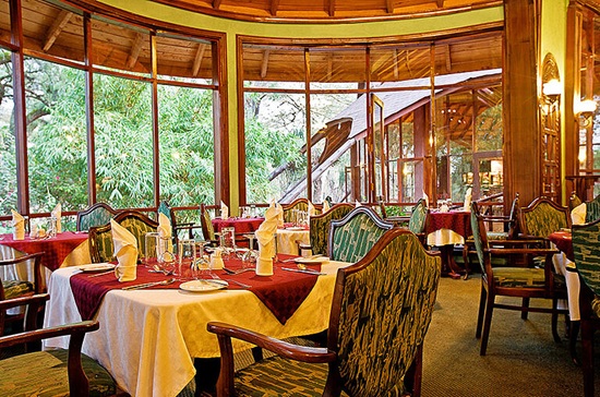  Family Safari Vacation 43 - Habibi World Travel & Tour Africa