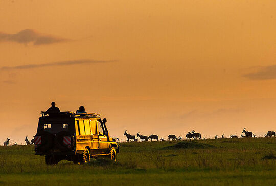  Family Safari Vacation 5 - Habibi World Travel & Tour Africa