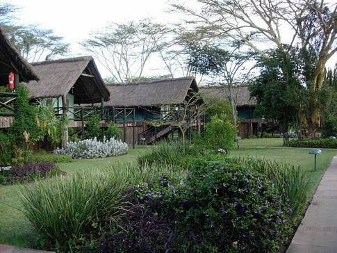  Family Safari Vacation 5 - Habibi World Travel & Tour Africa