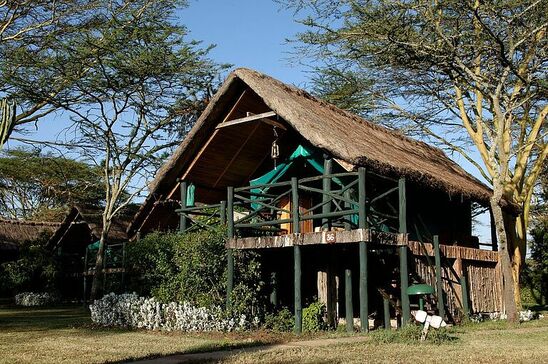  Family Safari Vacation 3 - Habibi World Travel & Tour Africa