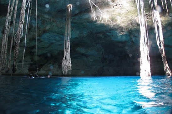 Dive tour Cenote 