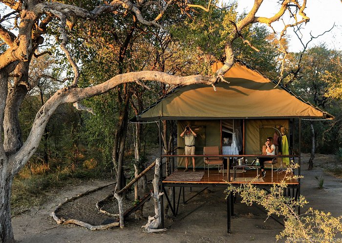 Botswana Family Superior Safari Safari - Habibi World Travel & Tour Africa