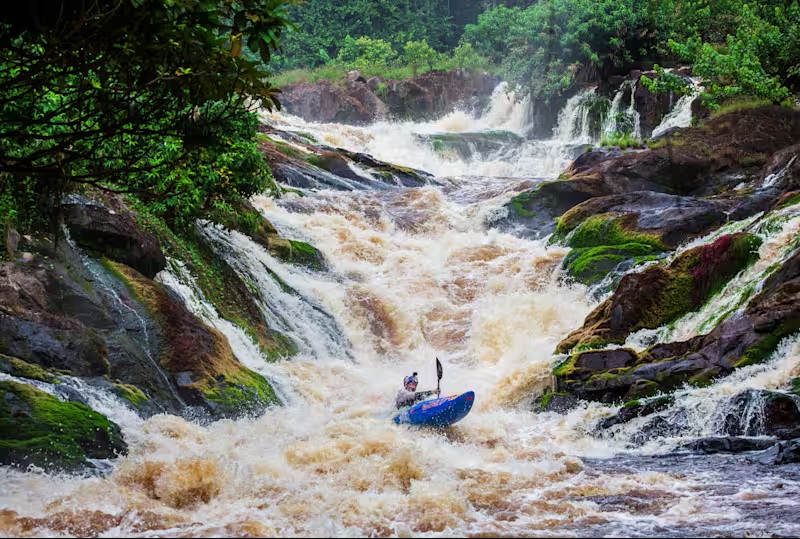 Legendary Big Banana