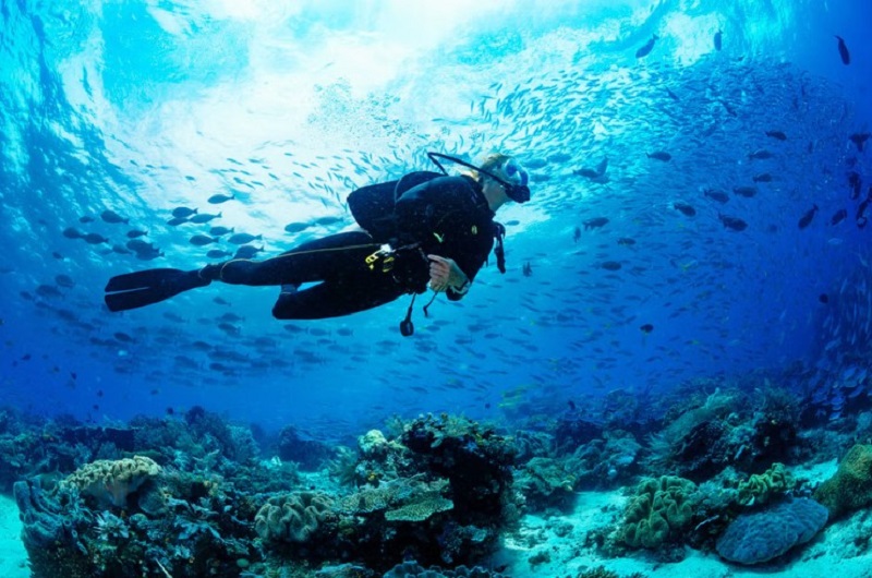 Habibi World Travel and Tour Scuba Diving In Dubai