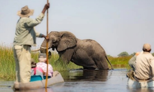 Vacation Safari-Africa