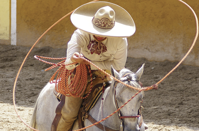habibi world Travel guadalajara https://www.habibi-world-travel-agency.com/