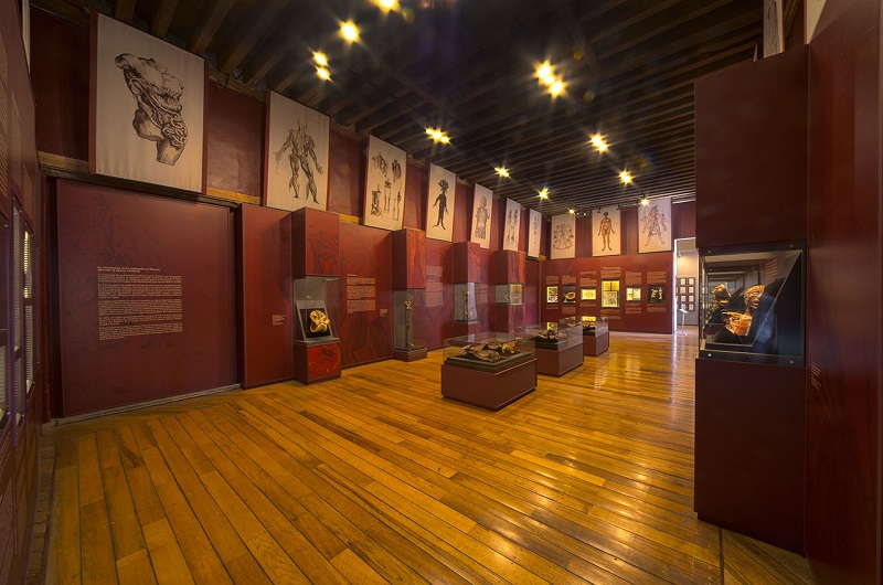 Inquisition Museum and Palace - Habibi World Travel & Tour