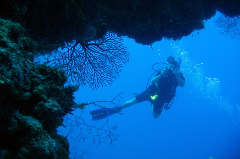 Habibi World Travel and Tour Learn to dive 25