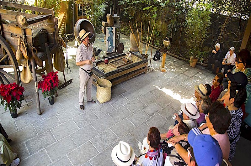 Coatepec Magico 7- Incredible journey - https://habibi-world-travel-agency.com/ 