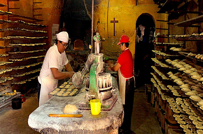Coatepec Magico 5- Incredible journey - https://habibi-world-travel-agency.com/