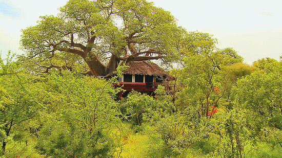  Elewana Safari -  luxury and elegance on safari - Habibi World Travel & Tour Africa